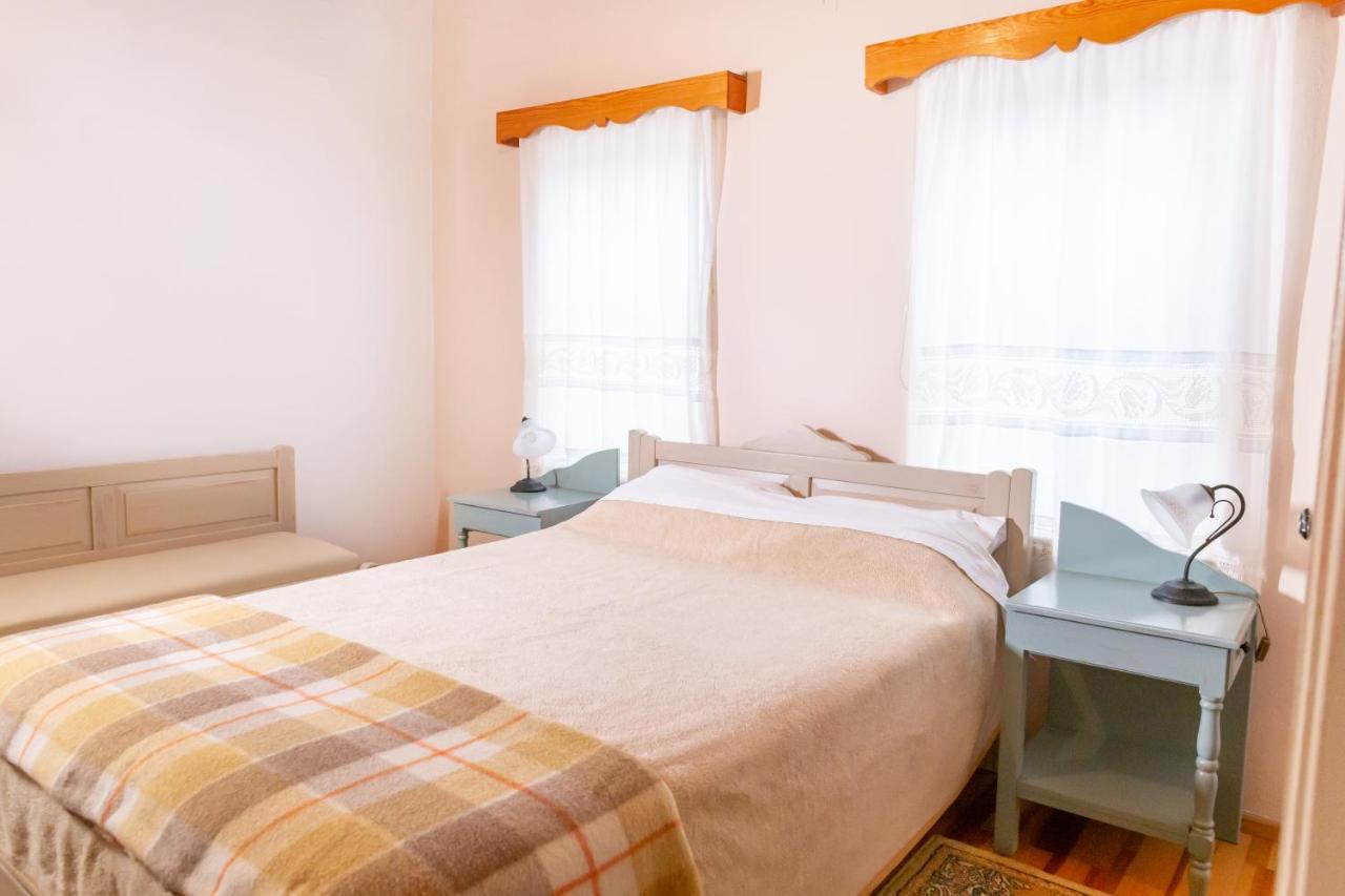 Hotel Zelinia à Vitsa Extérieur photo