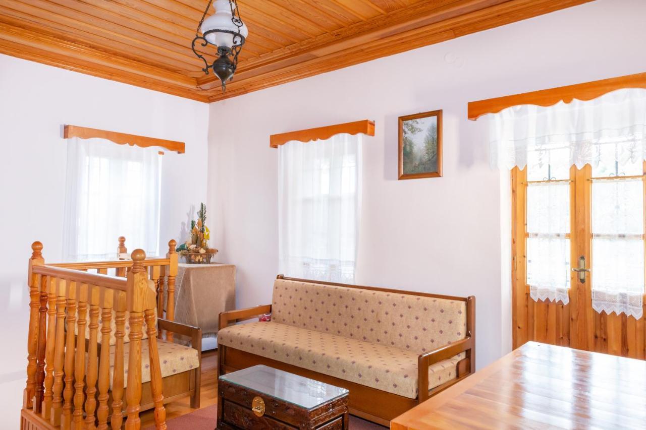 Hotel Zelinia à Vitsa Extérieur photo